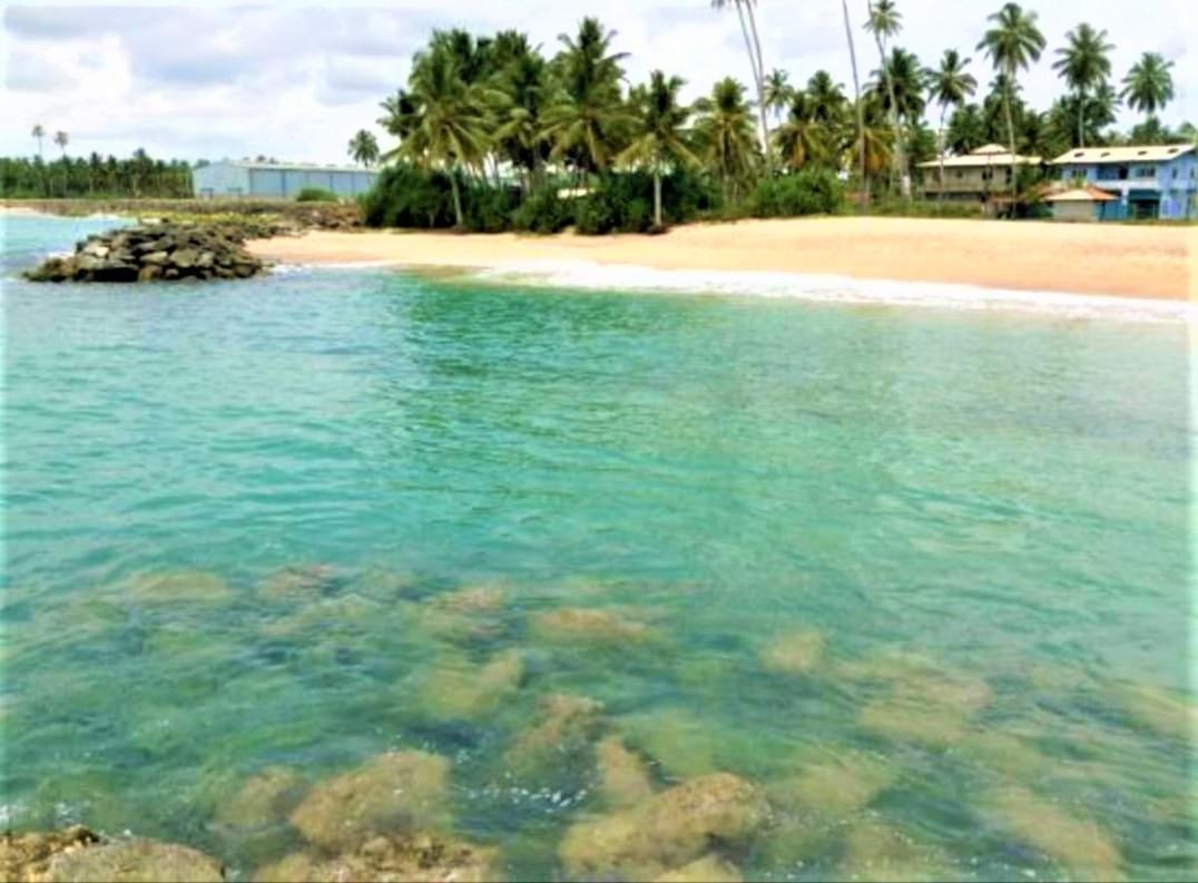 Sea Shell Villa Hikkaduwa 2 Separate Cabanas Ocean Front Villa Exteriör bild
